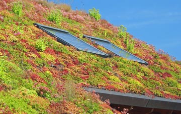Kettlethorpe living roof systems